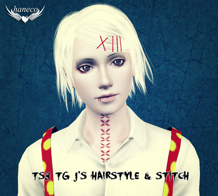 TS3 TG J's Hairstyle & stitch by haneco410 - SimsDay